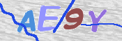 CAPTCHA (Şahıs Denetim Kodu) Resmi